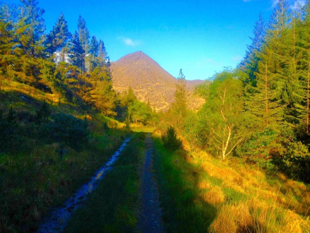 Rugged Glen Accommodation Glengarriff Exterior foto